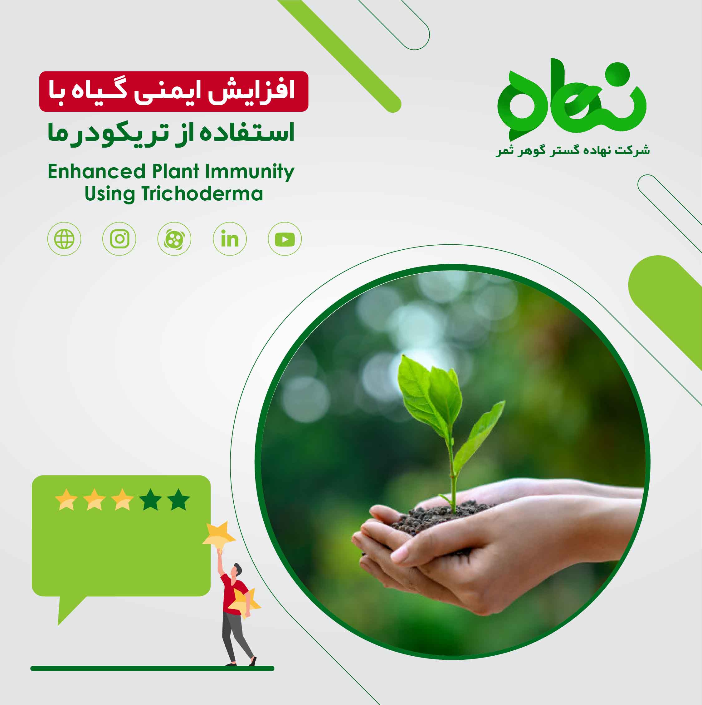 افزایش ایمنی گیاه با استفاده از تریکودرما 